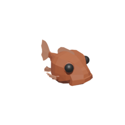 Coral Grouper